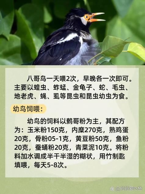97人妻啪啪的相关介绍