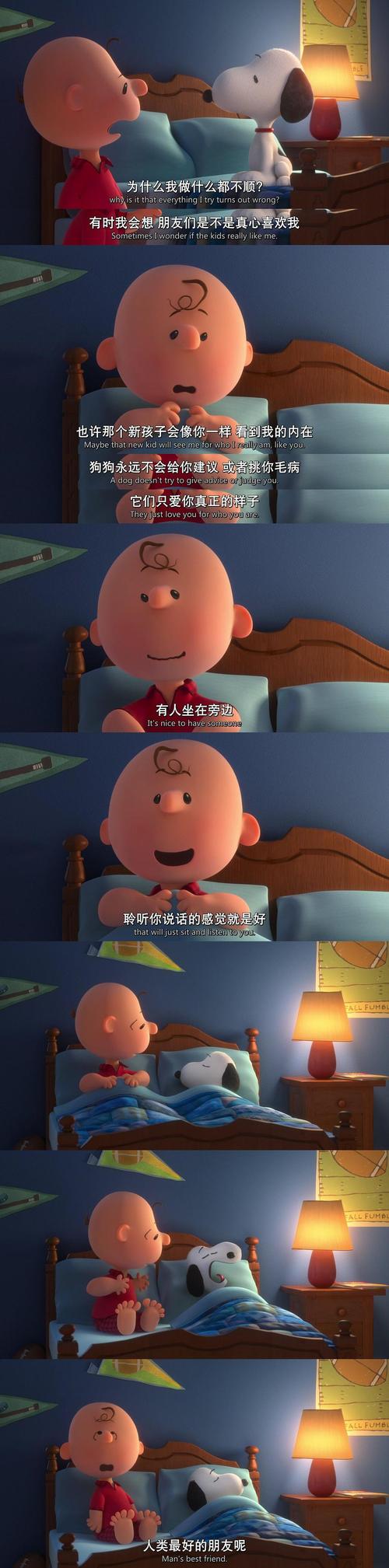 富婆看毛片的相关介绍