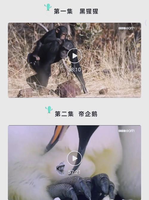 高清丝袜毛片的相关介绍