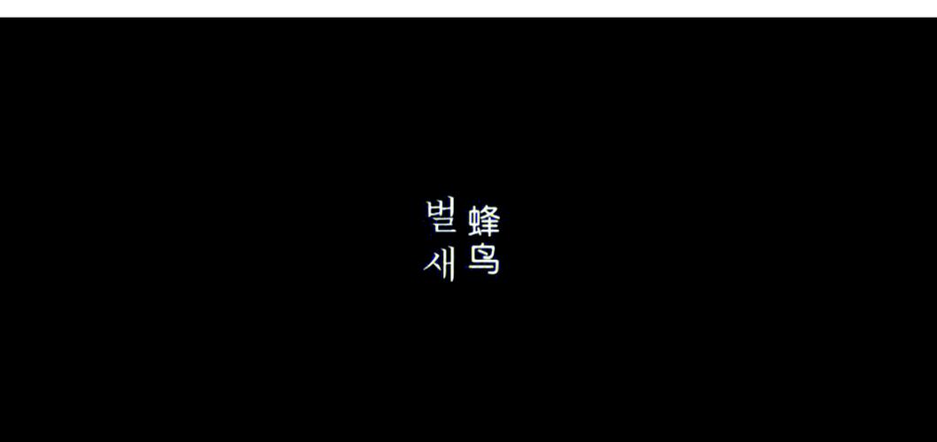 5d电影院的相关介绍
