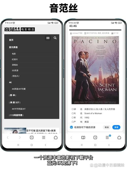 av丝袜在线观看的相关介绍