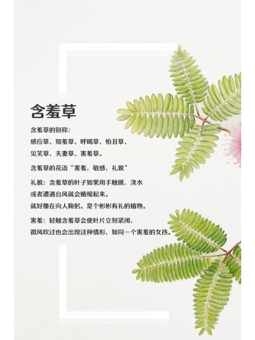 狠狠撸电影院的相关介绍