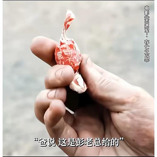 iidvd影院的相关介绍