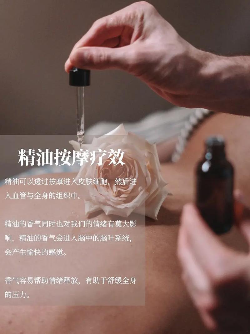 av少妇高清的相关介绍