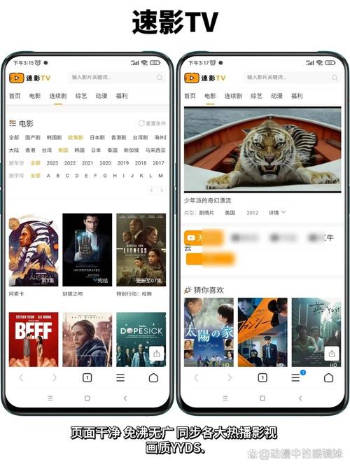 成人影院网的相关介绍