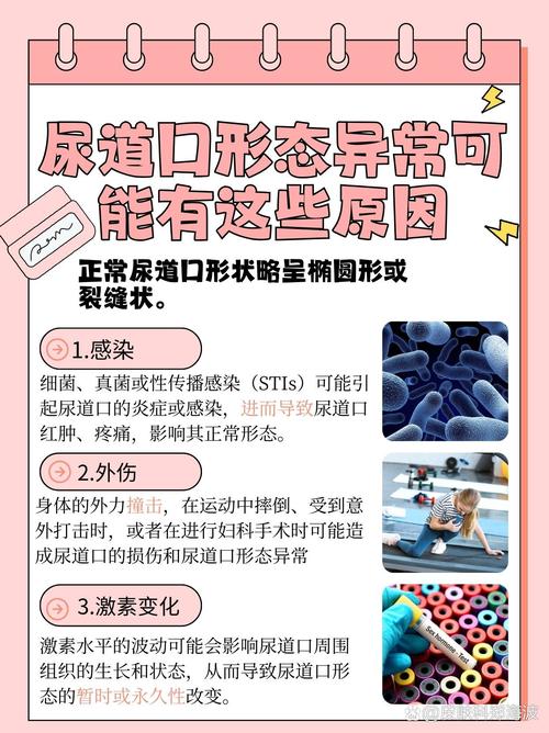 18岁禁止在线观看视频的相关介绍