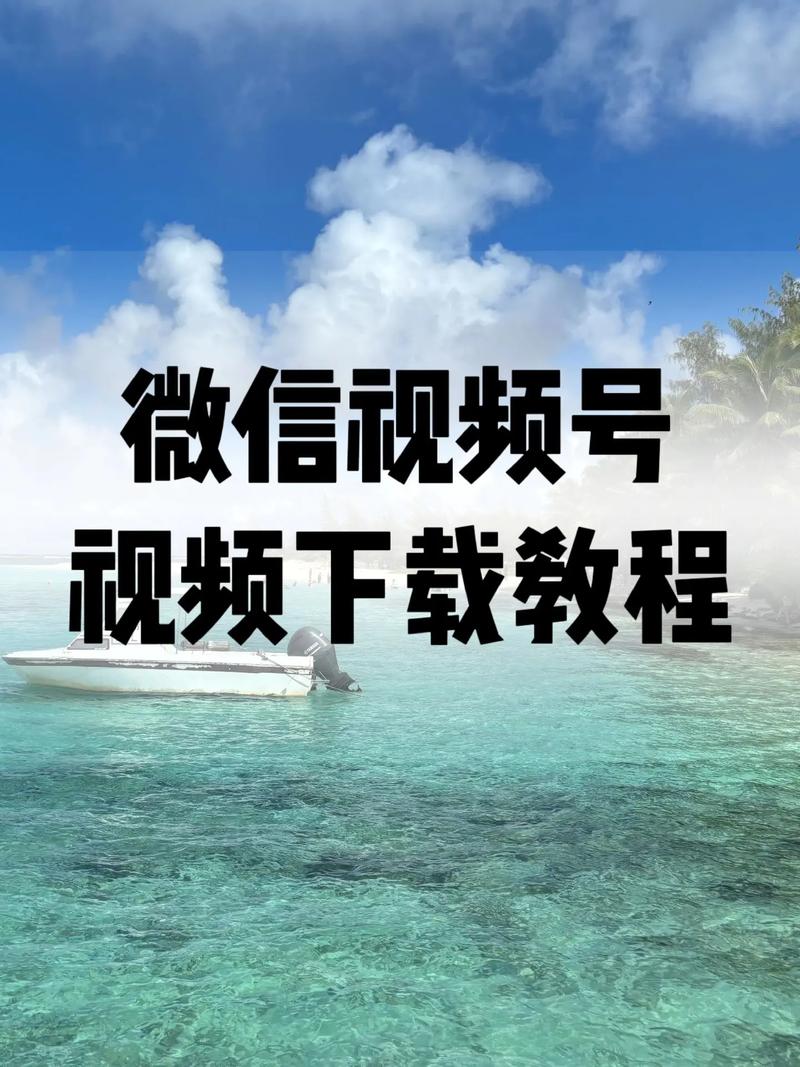 安狐影院的相关介绍