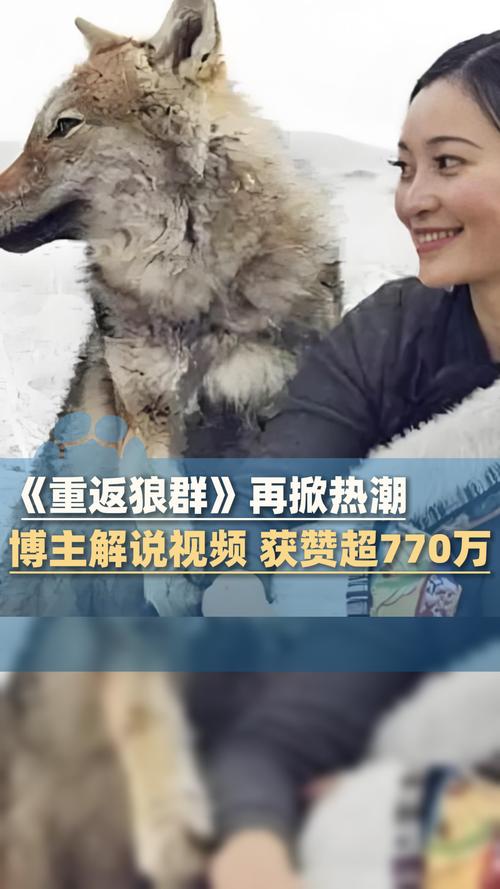 男女羞羞激烈动漫的相关介绍