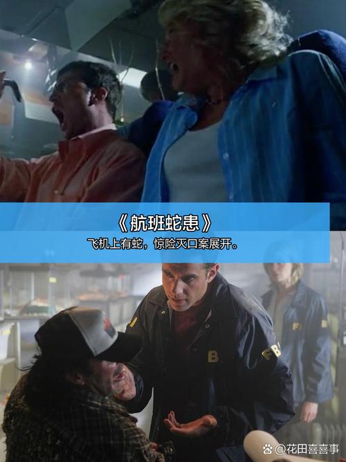 久久影院视频在线播放的相关介绍