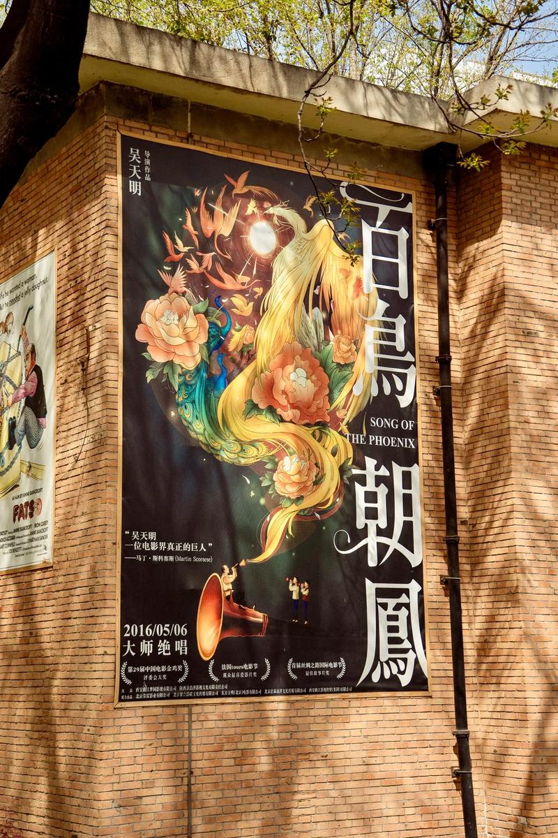 神马影院第九影院yy6080的相关介绍