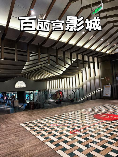 中华电影院的相关介绍