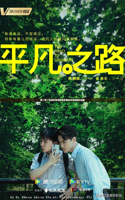 暴露癖调教(高h,np)小说的相关介绍