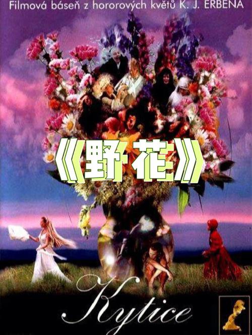 圆房调教(高h,的相关介绍