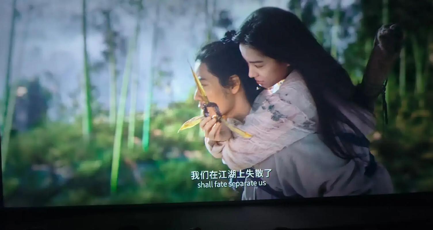 女尊调教文h的相关介绍