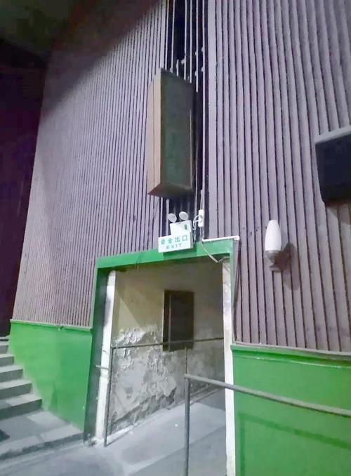 极品成人影院的相关介绍