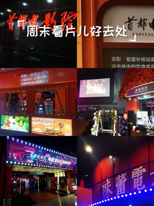 新视觉影院手机版的相关介绍