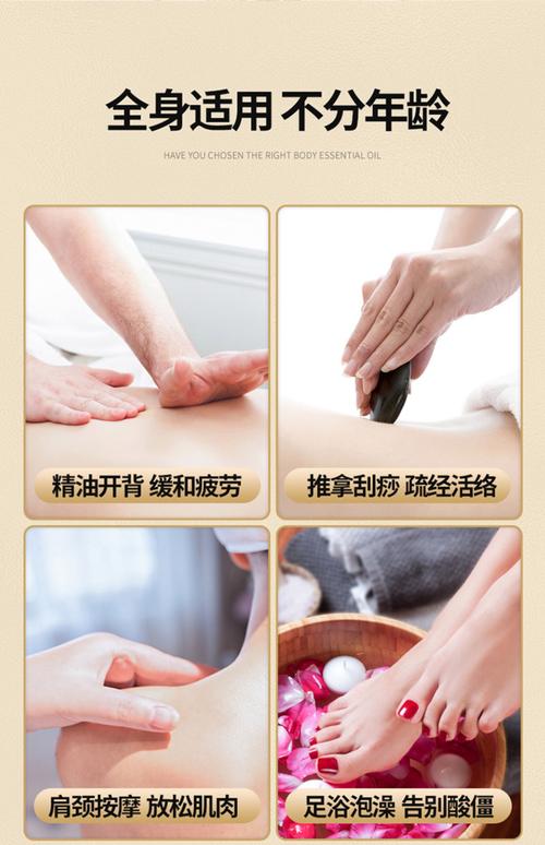全能影院的相关介绍
