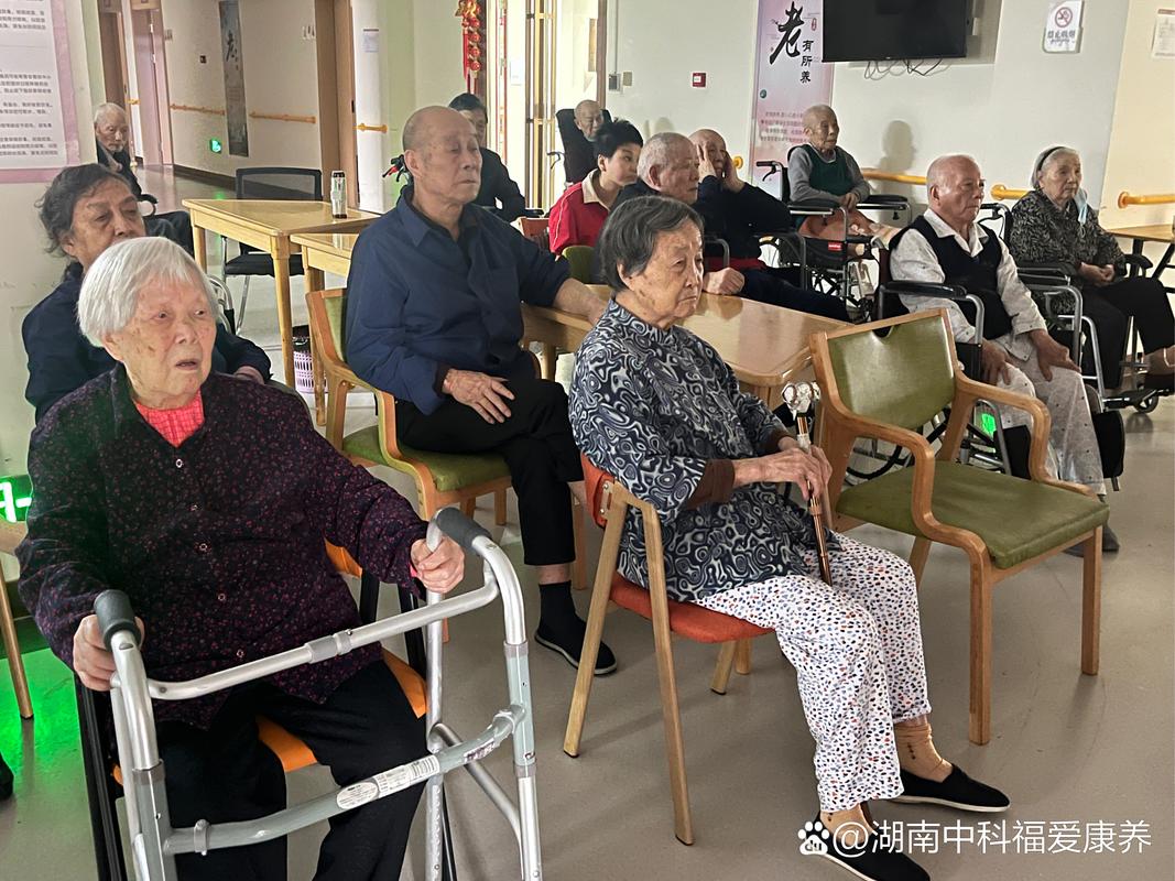 极品成人影院的相关介绍
