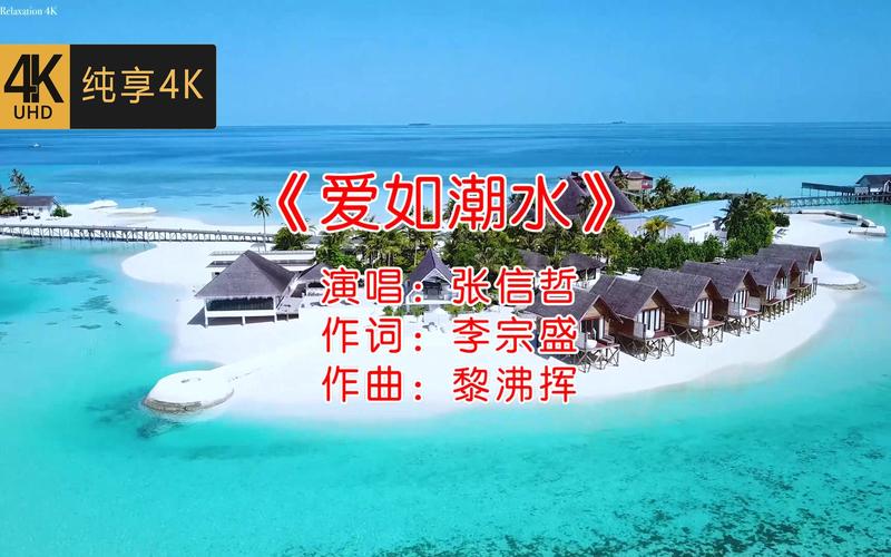 鲁大师影院在线观看的相关介绍