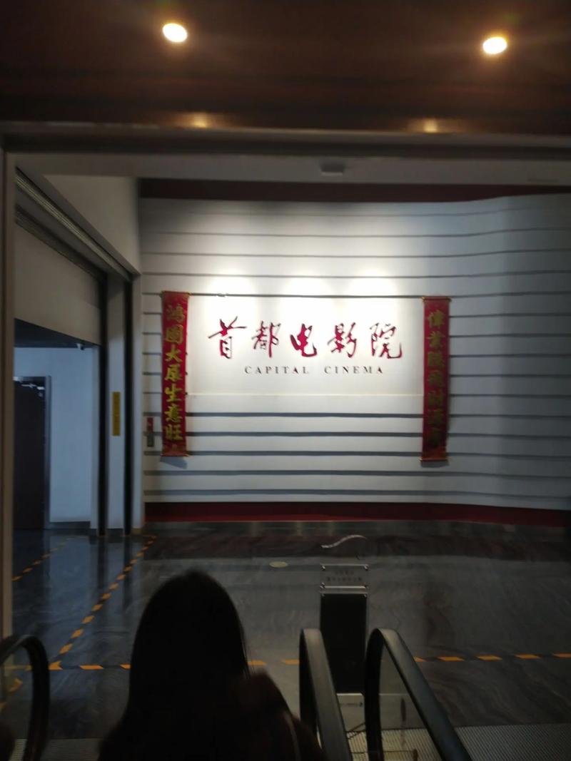 操的流白浆的相关介绍