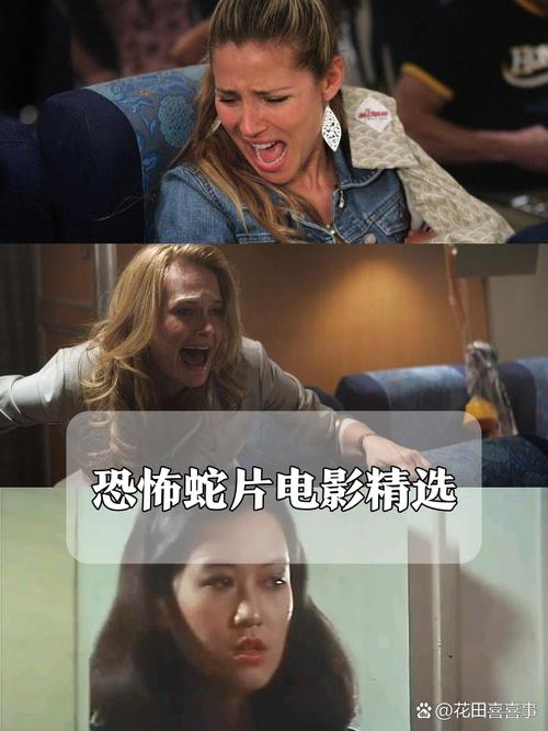 我玩弄人妻系列辣h文的相关介绍