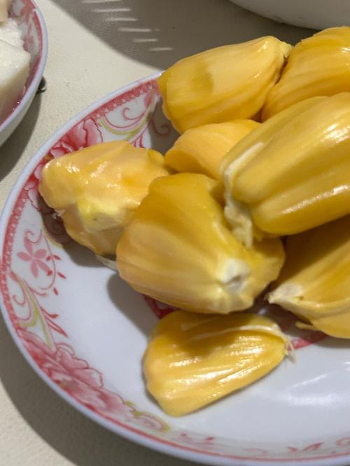 女主放荡暴露高辣h文的相关介绍
