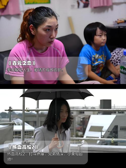 家庭影院品牌的相关介绍