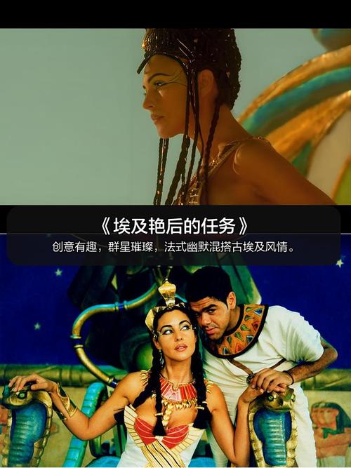 老司机影院免费视频观看的相关介绍