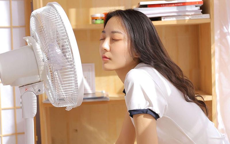 美女av一级免费在线观看的相关介绍
