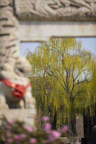 天龙影院远古的相关介绍