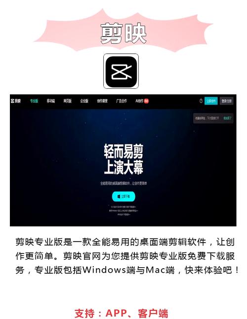 都市久久精品激情亚洲的相关介绍