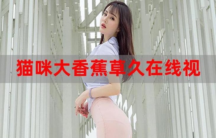 麻花影院官网app下载的相关介绍