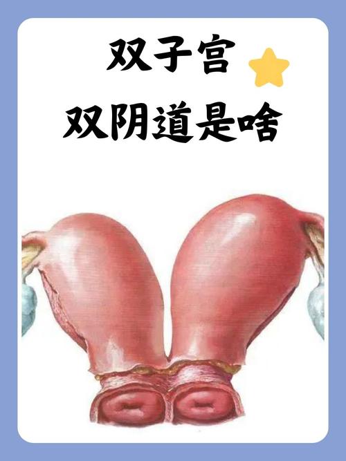 欧美精品成人在线视频的相关介绍
