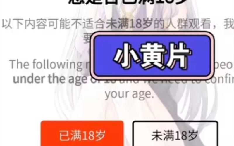 六六影院的相关介绍