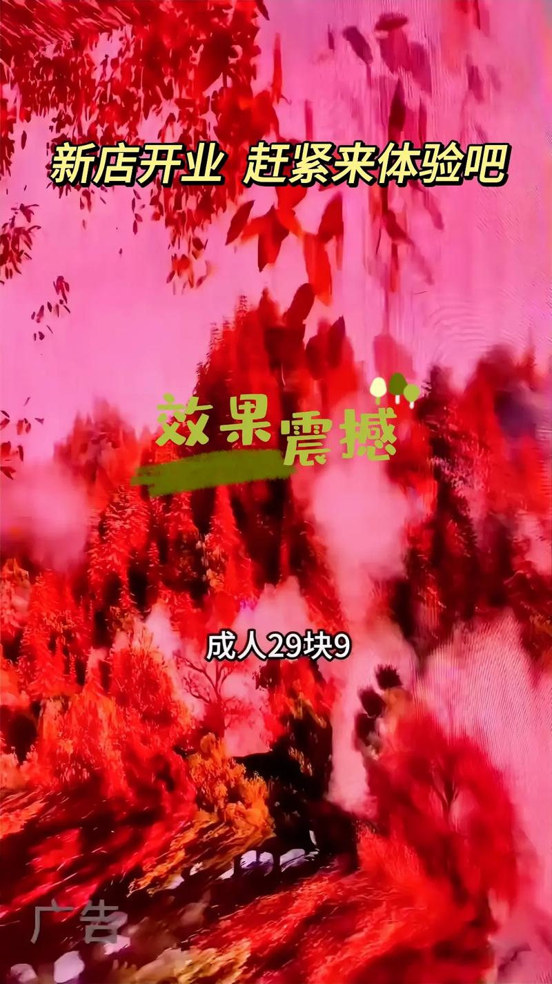 叶子影院的相关介绍
