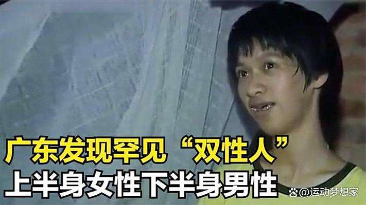 新视觉影院在线的相关介绍