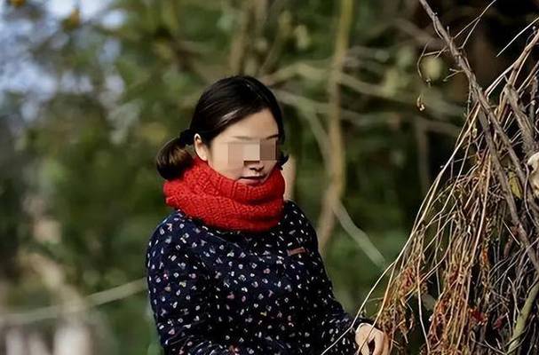234影院的相关介绍