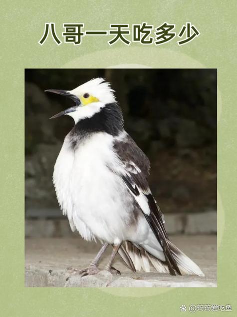 3片毛片3片毛片的相关介绍