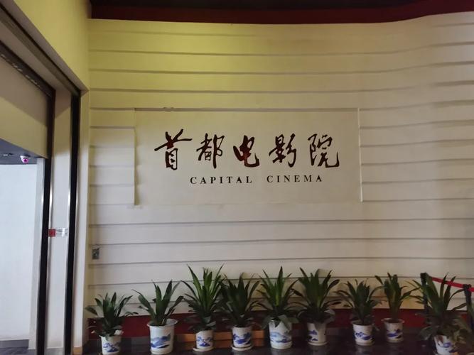 米奇影院4777的相关介绍