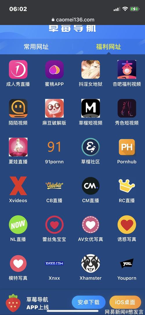 野花西瓜影院的相关介绍