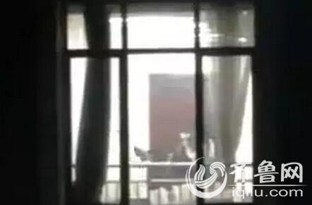欧美美女18 p的相关介绍