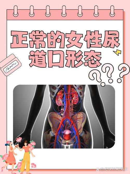 电影院在线观看的相关介绍